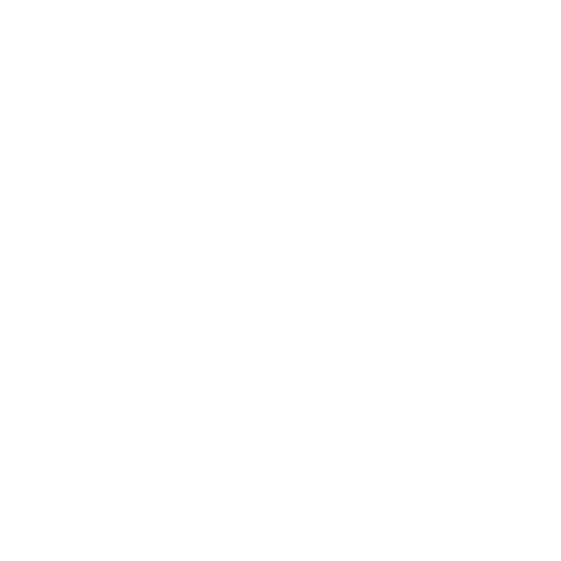 Plane globe Icon