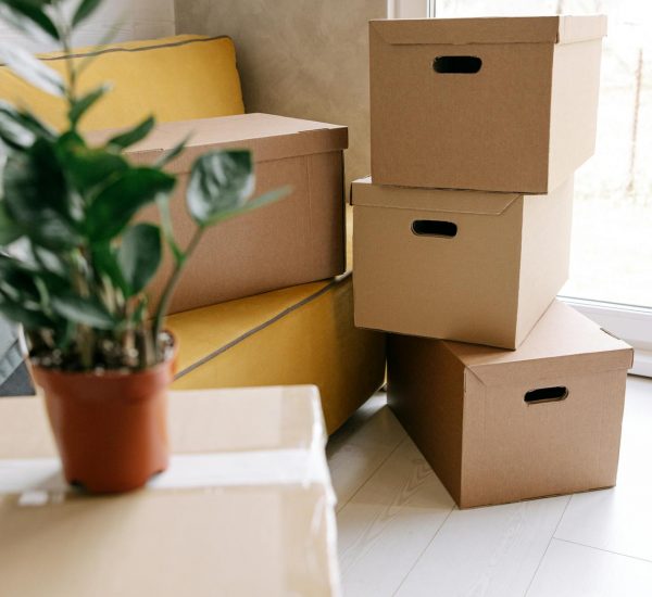 pexels-ivan-samkov-8962868 Stacked boxes and potted plant in cozy room with yellow couch.